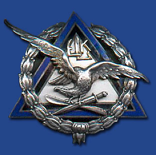 pilot badge