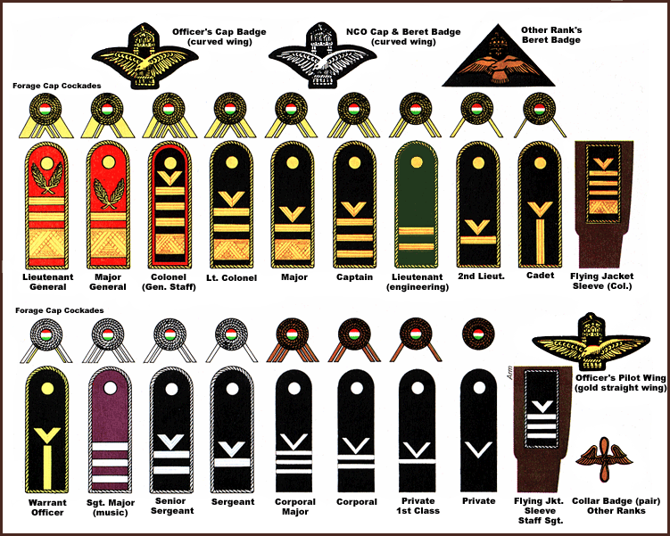 badges of rank british army. german army rank badges wwii